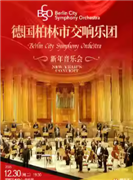 德国柏林市交响乐团2026新年音乐会 北京站